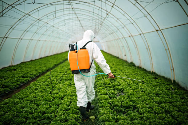 Best Best Pest Control Companies  in Roberta, GA