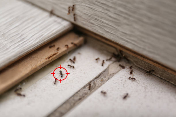Best Pest Control Cost  in Roberta, GA