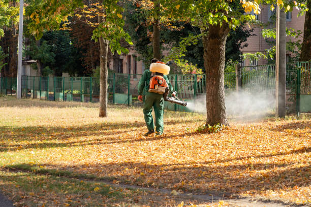 Best Emergency Pest Control  in Roberta, GA