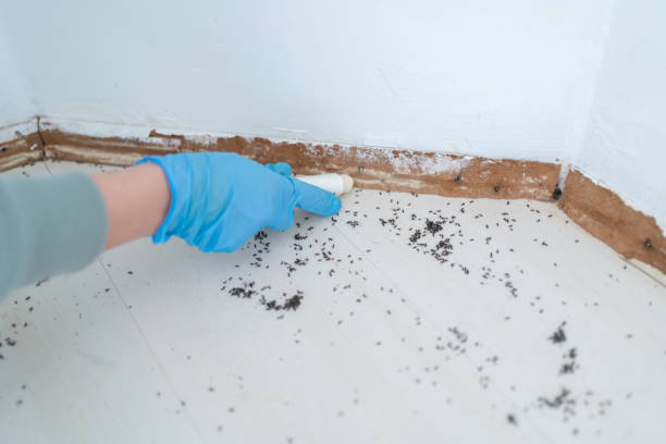 Best Affordable Pest Control Services  in Roberta, GA
