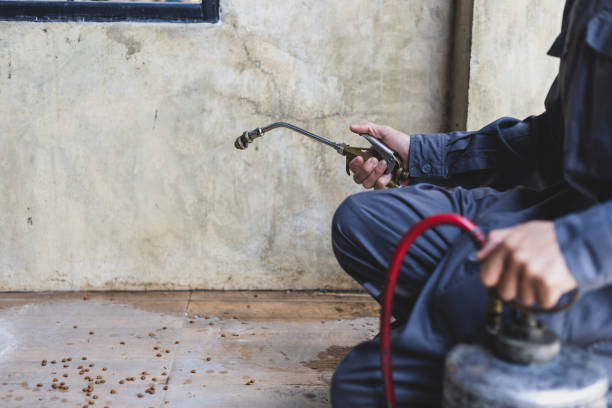 Best Wasp Removal Services  in Roberta, GA